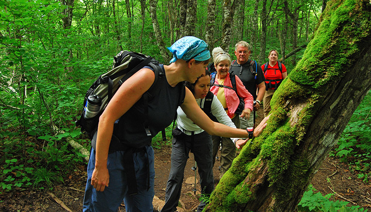 Wnsq-nova-scotia-walking-10